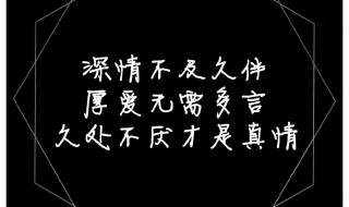 厚爱无需多言免费阅读
