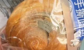 三只松鼠产品吃出虫子