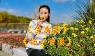 伤了你的心我好伤心dj