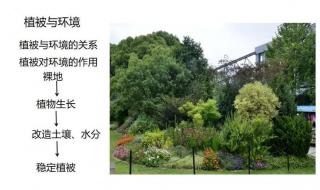 高一地理必修一第一章