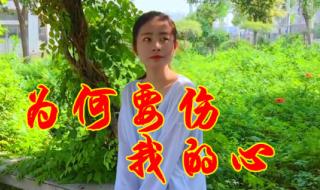 伤了你的心我好伤心dj