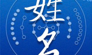 免费公司取名软件