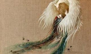 山海经异兽录正版手游