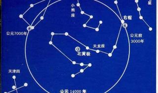 北极星指的是哪个星座