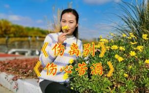 受了伤的人原唱dj 伤了你的心我好伤心dj